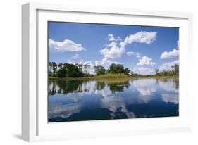 Okavango Lagoon Reflection-null-Framed Photographic Print