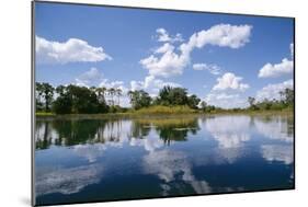 Okavango Lagoon Reflection-null-Mounted Photographic Print