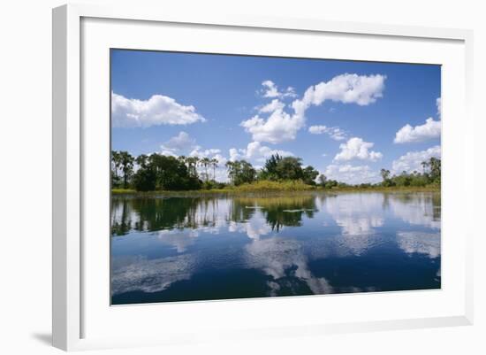 Okavango Lagoon Reflection-null-Framed Photographic Print