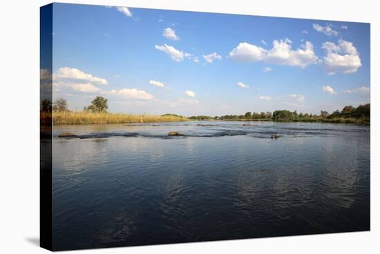 Okavango River-benshots-Stretched Canvas