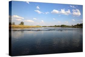 Okavango River-benshots-Stretched Canvas