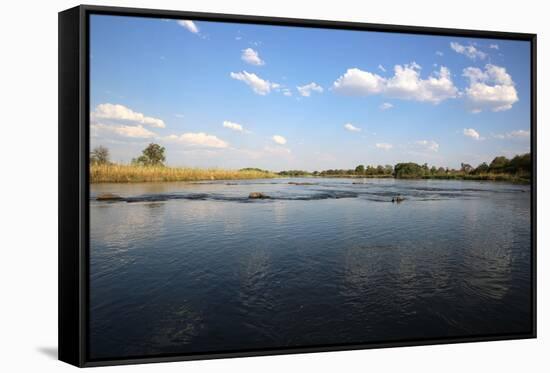 Okavango River-benshots-Framed Stretched Canvas