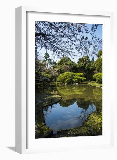 Okazaki Park in the Heian Jingu Shrine, Kyoto, Japan, Asia-Michael Runkel-Framed Photographic Print