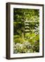 Okazaki Park in the Heian Jingu Shrine, Kyoto, Japan, Asia-Michael Runkel-Framed Photographic Print