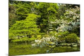 Okazaki Park in the Heian Jingu Shrine, Kyoto, Japan, Asia-Michael Runkel-Mounted Photographic Print