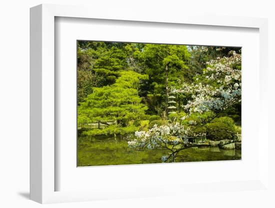 Okazaki Park in the Heian Jingu Shrine, Kyoto, Japan, Asia-Michael Runkel-Framed Photographic Print