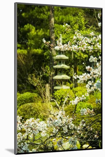 Okazaki Park in the Heian Jingu Shrine, Kyoto, Japan, Asia-Michael Runkel-Mounted Photographic Print