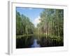 Okefenokee Swamp-James Randklev-Framed Photographic Print