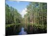 Okefenokee Swamp-James Randklev-Mounted Photographic Print