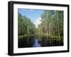 Okefenokee Swamp-James Randklev-Framed Photographic Print