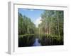 Okefenokee Swamp-James Randklev-Framed Photographic Print