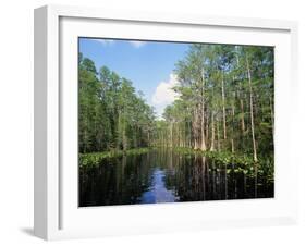 Okefenokee Swamp-James Randklev-Framed Photographic Print