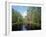 Okefenokee Swamp-James Randklev-Framed Photographic Print