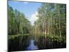 Okefenokee Swamp-James Randklev-Mounted Photographic Print