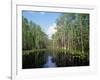 Okefenokee Swamp-James Randklev-Framed Photographic Print