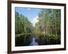 Okefenokee Swamp-James Randklev-Framed Photographic Print