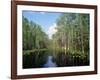 Okefenokee Swamp-James Randklev-Framed Photographic Print