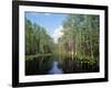 Okefenokee Swamp-James Randklev-Framed Photographic Print