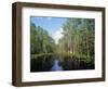 Okefenokee Swamp-James Randklev-Framed Photographic Print