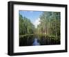 Okefenokee Swamp-James Randklev-Framed Photographic Print