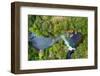 Okere Falls, New Zealand. White water rafting down the Kaituna River in Rotorua, New Zealand.-Micah Wright-Framed Photographic Print