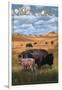 Oklahoma - Buffalo and Calf-Lantern Press-Framed Art Print