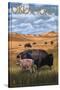 Oklahoma - Buffalo and Calf-Lantern Press-Stretched Canvas