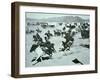 Oklahoma Land Rush of 1893-null-Framed Premium Photographic Print