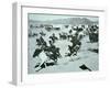 Oklahoma Land Rush of 1893-null-Framed Premium Photographic Print