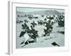 Oklahoma Land Rush of 1893-null-Framed Photographic Print