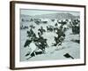 Oklahoma Land Rush of 1893-null-Framed Photographic Print