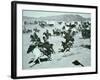 Oklahoma Land Rush of 1893-null-Framed Photographic Print