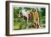 Oklahoma - Osage Indian and Pony-Lantern Press-Framed Art Print