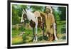 Oklahoma - Osage Indian and Pony-Lantern Press-Framed Art Print