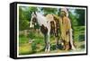 Oklahoma - Osage Indian and Pony-Lantern Press-Framed Stretched Canvas