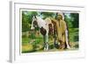 Oklahoma - Osage Indian and Pony-Lantern Press-Framed Art Print