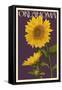 Oklahoma - Sunflowers - Letterpress-Lantern Press-Framed Stretched Canvas