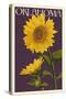 Oklahoma - Sunflowers - Letterpress-Lantern Press-Stretched Canvas