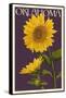 Oklahoma - Sunflowers - Letterpress-Lantern Press-Framed Stretched Canvas