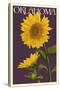 Oklahoma - Sunflowers - Letterpress-Lantern Press-Stretched Canvas