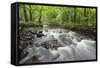 Okna River, Morske Oko Reserve, Vihorlat Mountains, East Slovakia, Europe, June 2008-Wothe-Framed Stretched Canvas