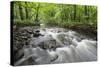 Okna River, Morske Oko Reserve, Vihorlat Mountains, East Slovakia, Europe, June 2008-Wothe-Stretched Canvas