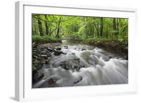 Okna River, Morske Oko Reserve, Vihorlat Mountains, East Slovakia, Europe, June 2008-Wothe-Framed Photographic Print