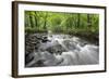 Okna River, Morske Oko Reserve, Vihorlat Mountains, East Slovakia, Europe, June 2008-Wothe-Framed Photographic Print