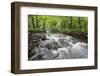 Okna River, Morske Oko Reserve, Vihorlat Mountains, East Slovakia, Europe, June 2008-Wothe-Framed Photographic Print