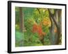 Okochi Sanso, Kyoto, Japan-Rob Tilley-Framed Photographic Print