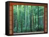 Okochi Sanso, Kyoto, Japan-Rob Tilley-Framed Stretched Canvas