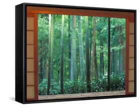 Okochi Sanso, Kyoto, Japan-Rob Tilley-Framed Stretched Canvas