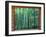 Okochi Sanso, Kyoto, Japan-Rob Tilley-Framed Premium Photographic Print