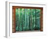 Okochi Sanso, Kyoto, Japan-Rob Tilley-Framed Premium Photographic Print